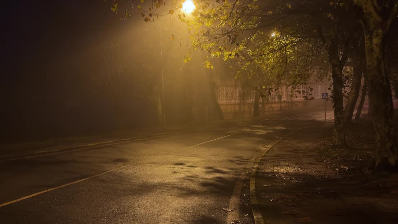 安静的下降:城市小巷的夜间之旅视频素材