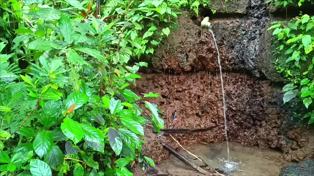 小型天然泉水淋浴器。视频下载