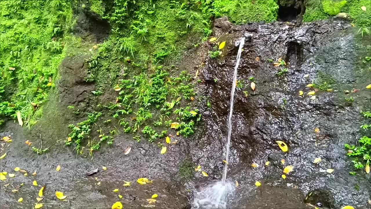 小型天然泉水淋浴器。视频下载