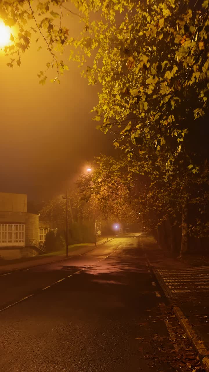 神秘的夜晚:走在路灯下的雾蒙蒙的夜晚视频素材