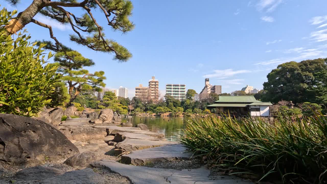 宁静的日本花园全景图视频素材