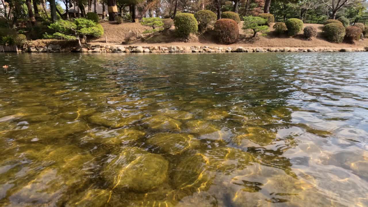 宁静的河流流经大自然视频素材