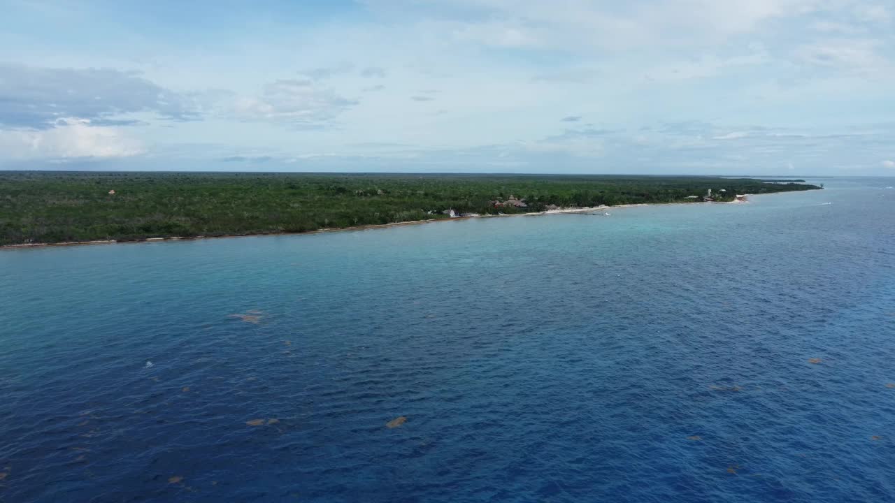 科苏梅尔宁静的海岸线，郁郁葱葱的绿色植物和清澈的蓝色海水，明亮的日光，鸟瞰图视频素材