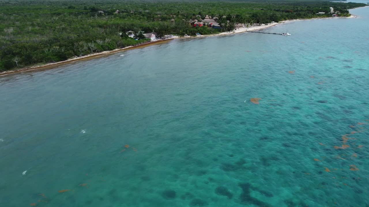 科苏梅尔海岸线清澈的海水和郁郁葱葱的绿色植物，鸟瞰图视频素材