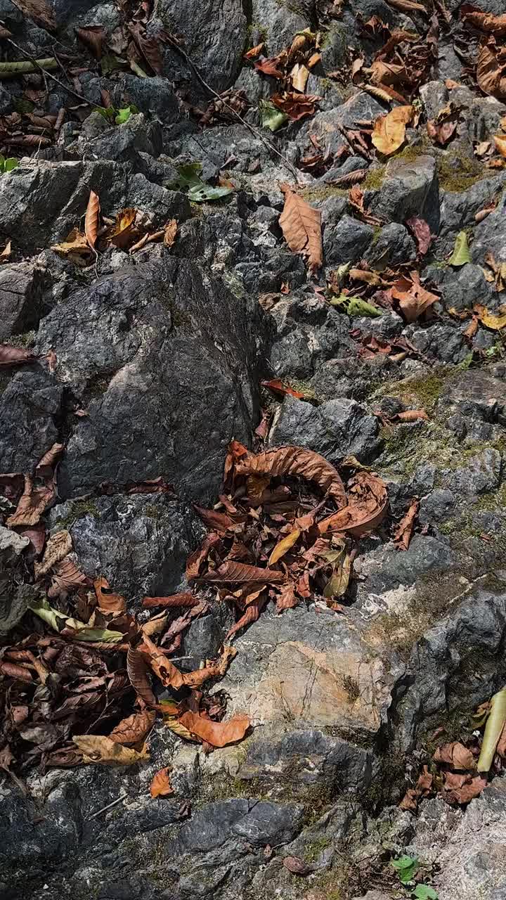 山河福佑视频素材