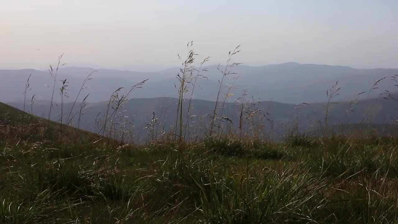 夏天，乌克兰喀尔巴阡山脉的斯维多韦茨有风的夜晚视频素材