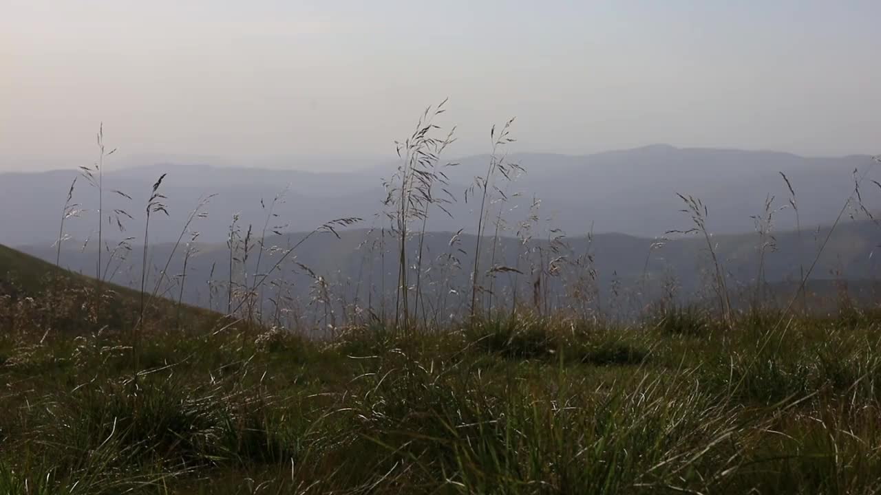 夏天，乌克兰喀尔巴阡山脉的斯维多韦茨有风的夜晚视频素材