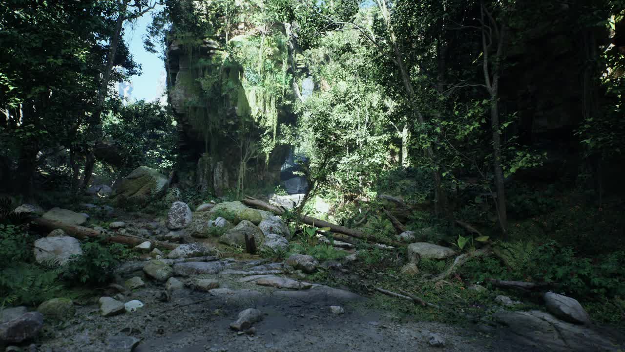 风景优美的土路被树木和岩石包围视频素材