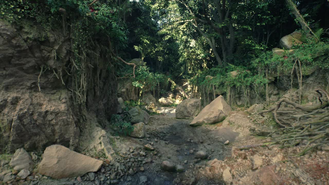 被树木和岩石包围的土路视频素材