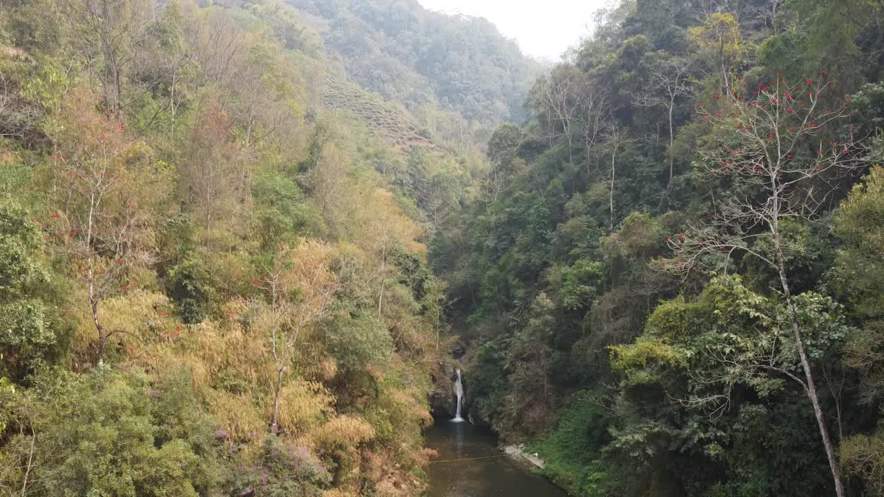 在多云的天气里，无人机拍摄了有茶园和树木的山视频素材