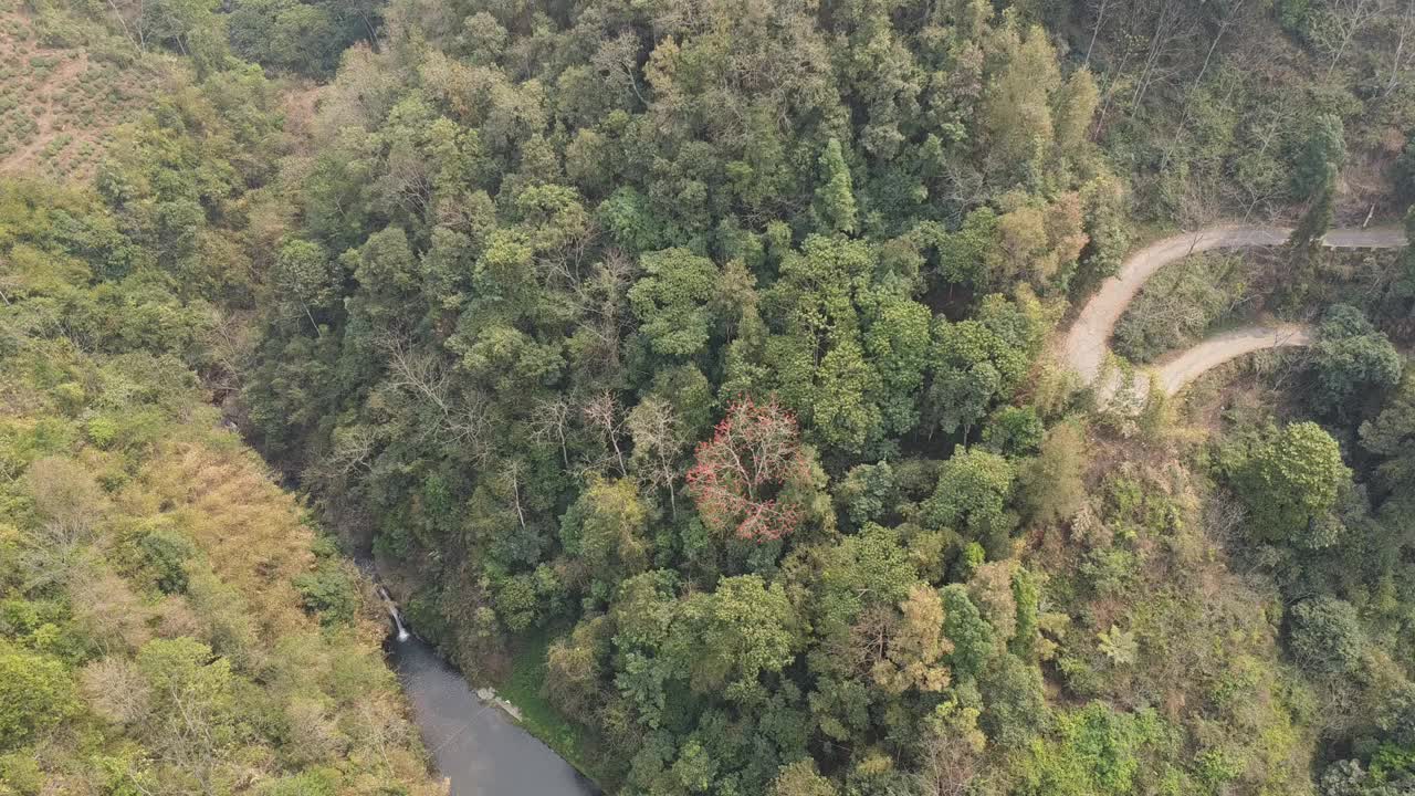 无人机拍摄的亚洲丘陵、山脉和茶园全景视频剪辑视频下载