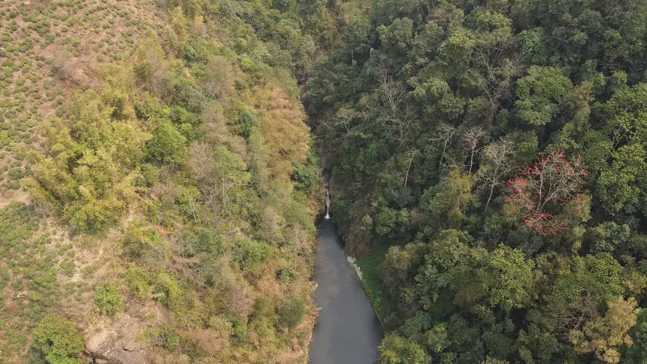 降落的无人机拍摄了位于丘陵森林中的瀑布的视频视频素材