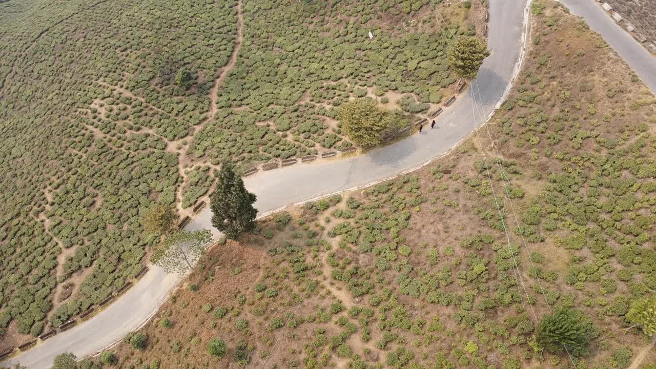 航拍无人机拍摄了亚洲茶园山坡上的山路视频下载