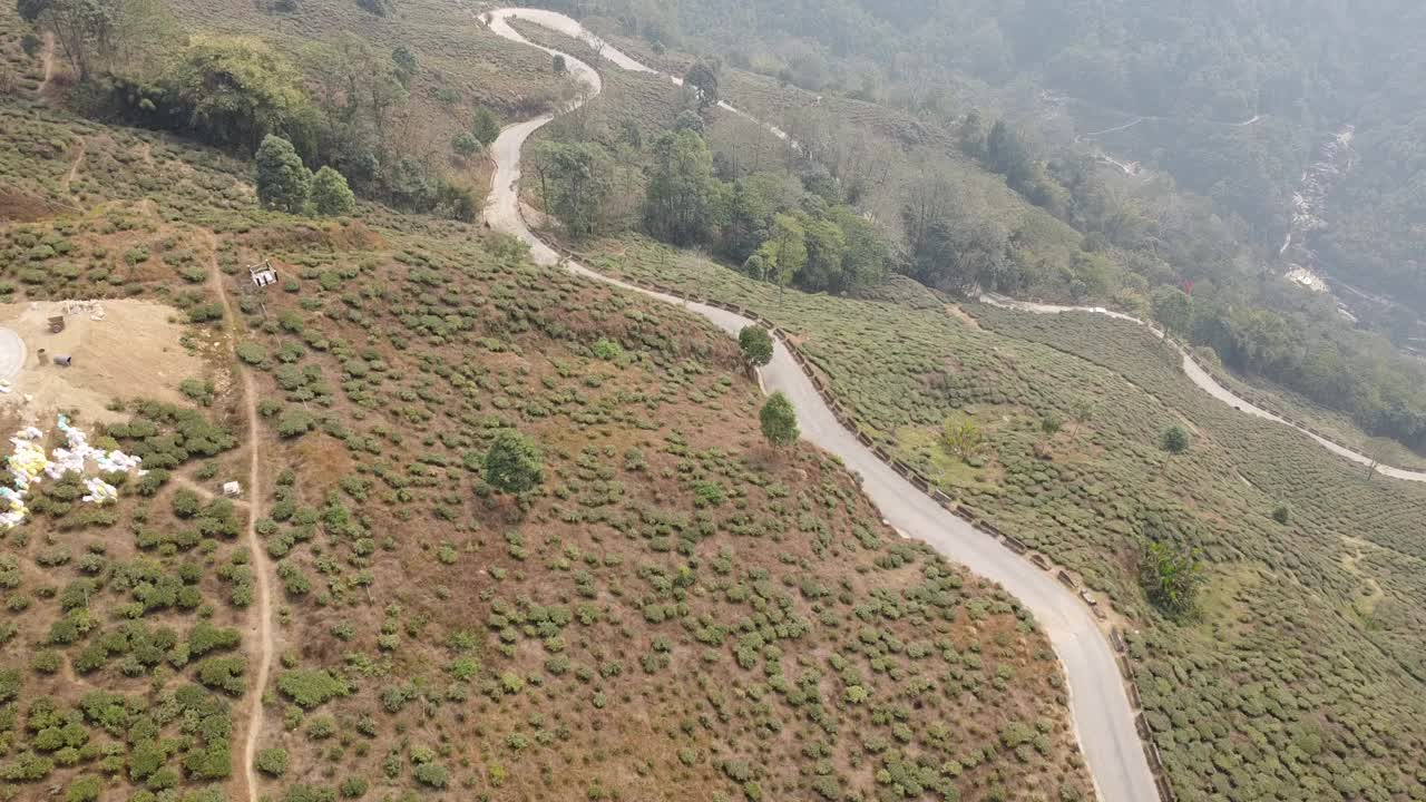 航拍无人机拍摄了亚洲茶园山坡上的山路视频下载