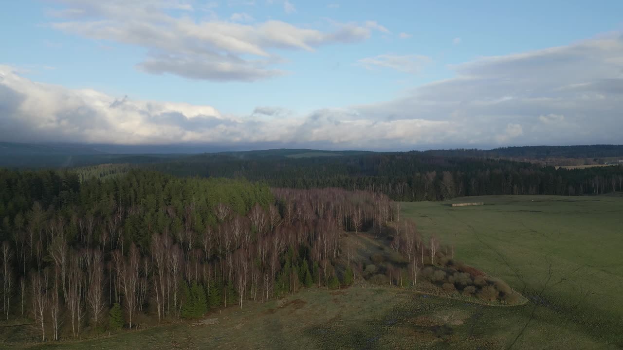 鸟瞰图，宁静的风景，郁郁葱葱的森林，开阔的田野，天空中如画的云视频素材