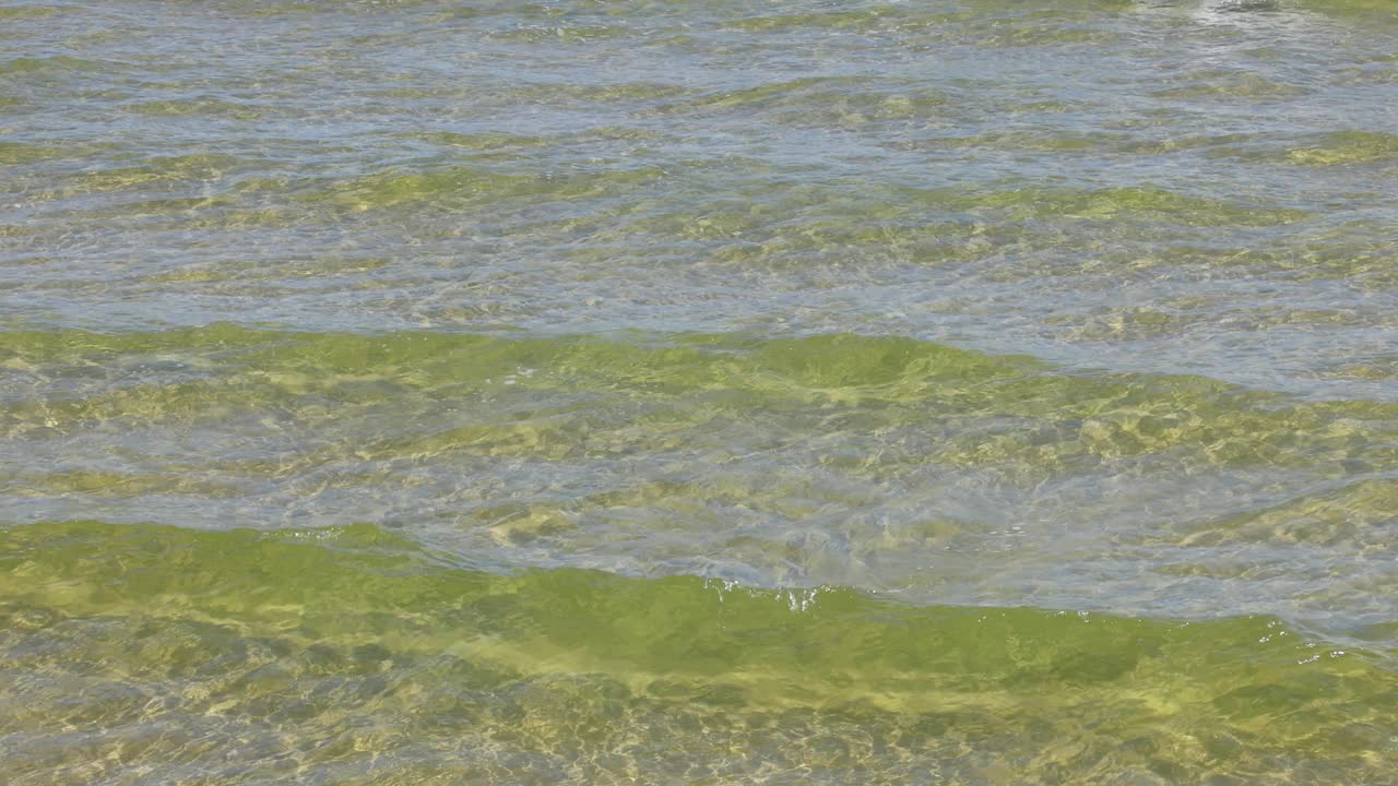 阳光明媚的日子里，温柔的海浪视频素材