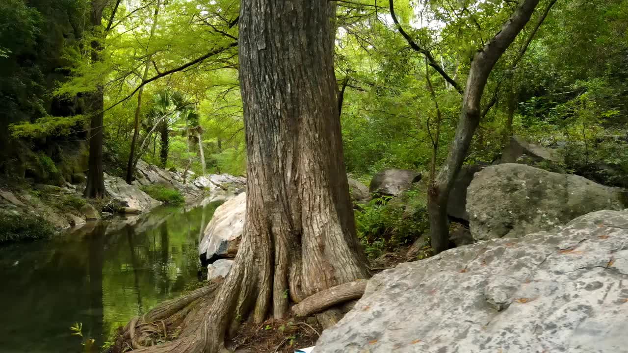 一条河流穿过森林，流经树木和巨石，这是无人机拍摄的神奇风景视频素材