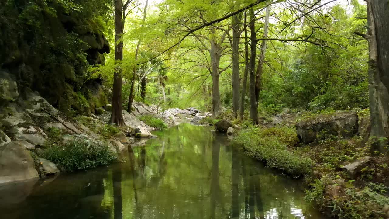 在茂密的森林中，一条平静的河流被白色的岩石包围视频素材