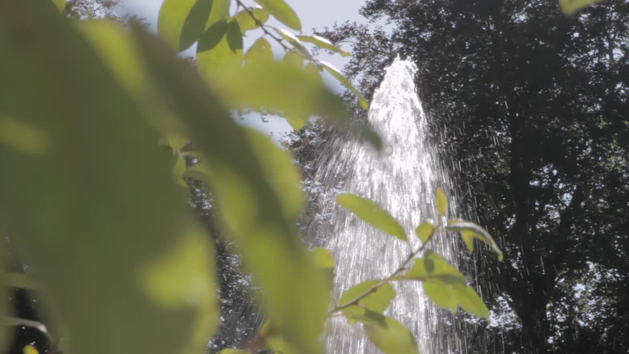 阳光透过树叶，背景是喷泉，是宁静的公园景色视频素材