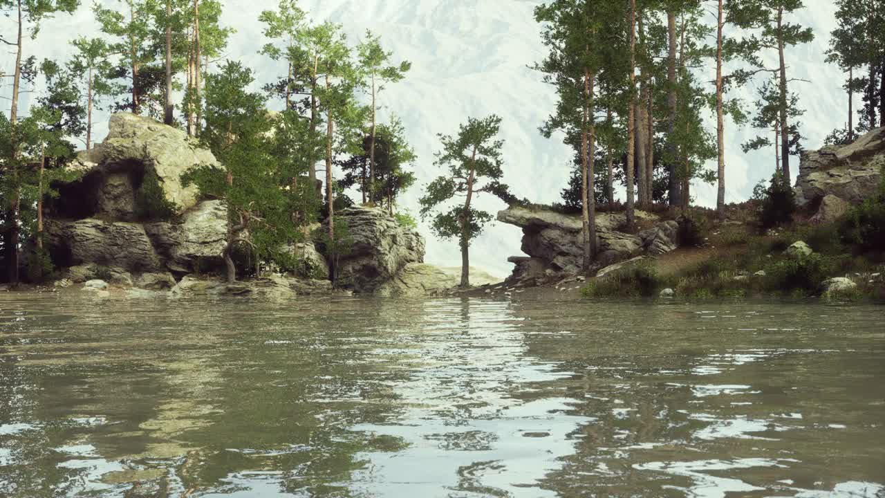 一片被树木和岩石包围的水域视频素材