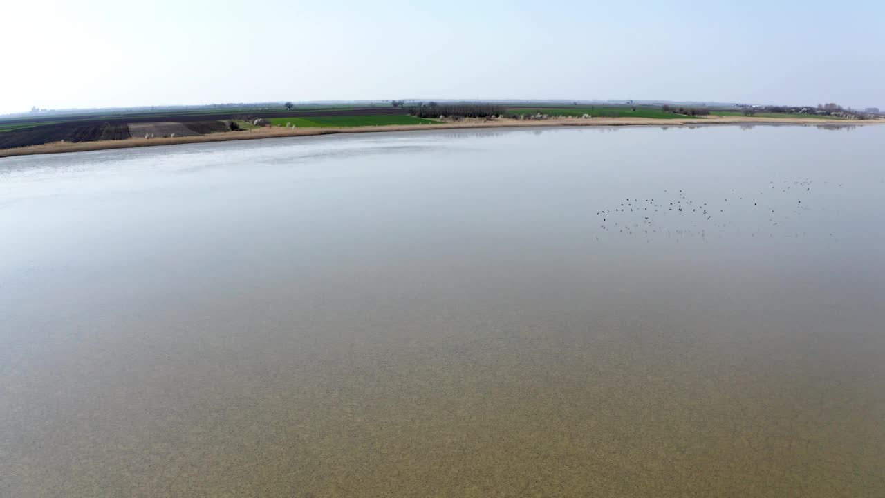 在自然保护区，一群鸟在干涸的湖泊上空飞行的无人机视频视频素材