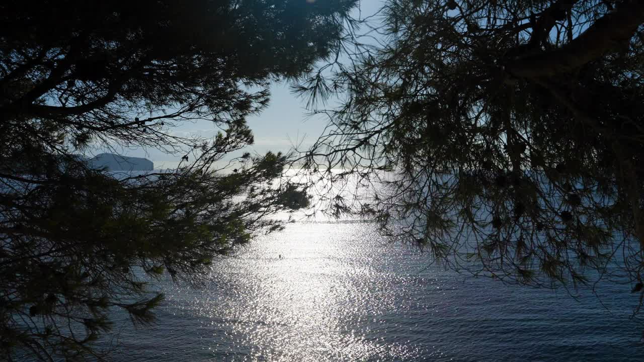 透过松树望向广阔的海景，晴朗的天空和夏日的阳光照耀在柔和的海浪上视频素材