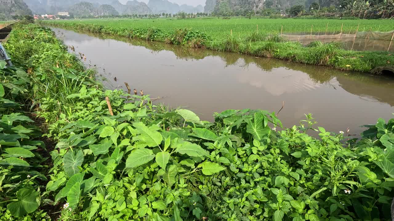 风景优美的河流之旅穿过郁郁葱葱的景观视频素材