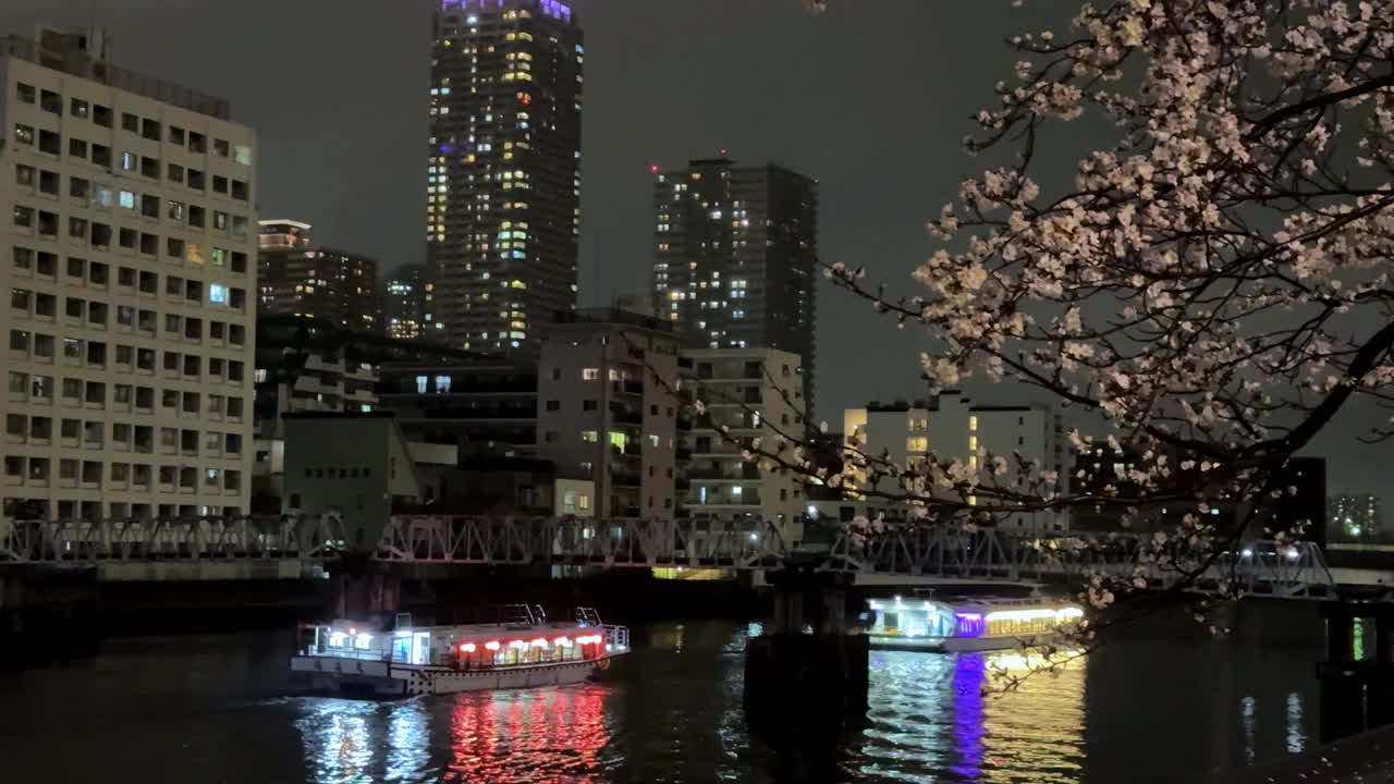 夜景在日本船航行Ookagawa长廊河城市景观夜间在横滨，水的倒影沿着樱花树视频素材