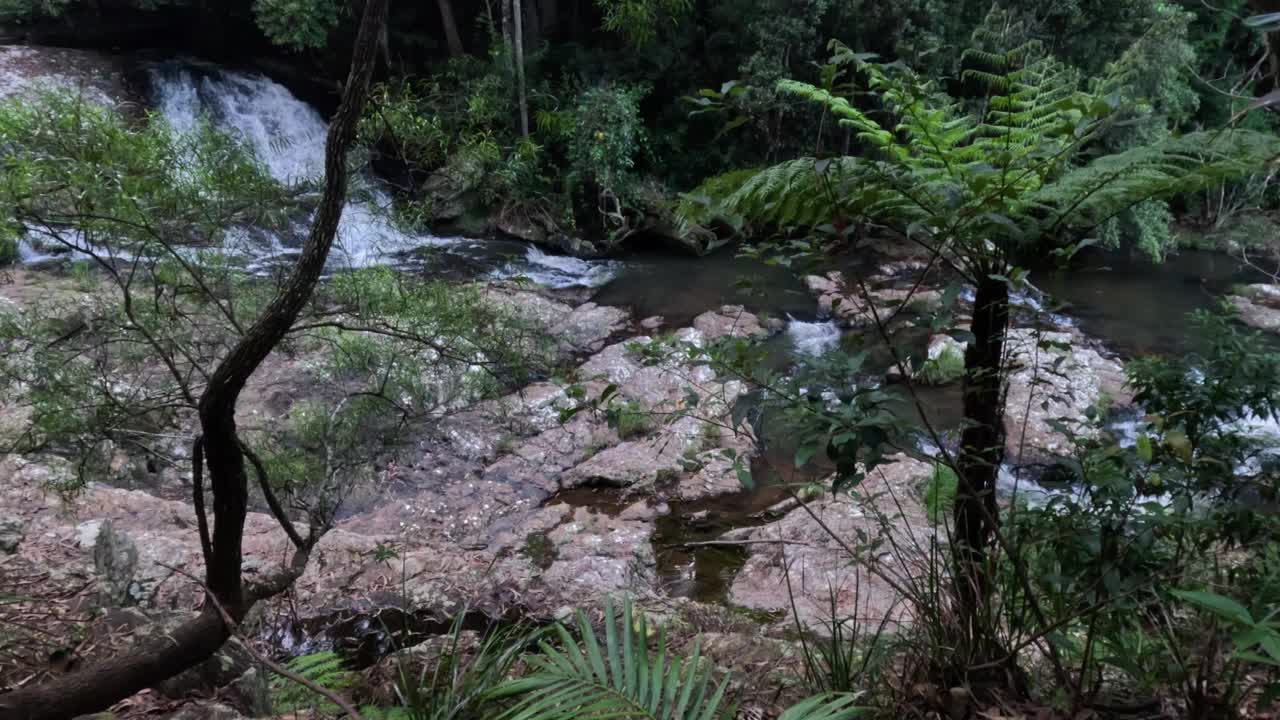 宁静的河流穿过森林视频素材