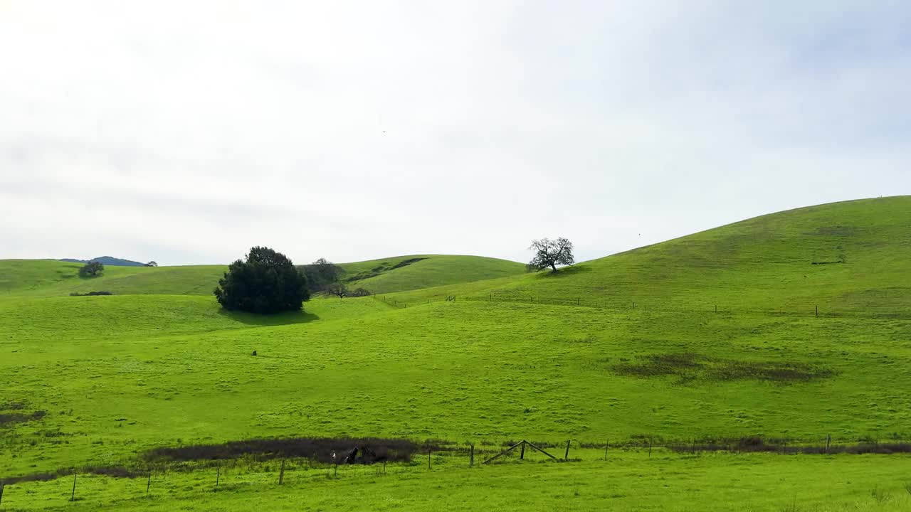 郁郁葱葱的山景视频素材