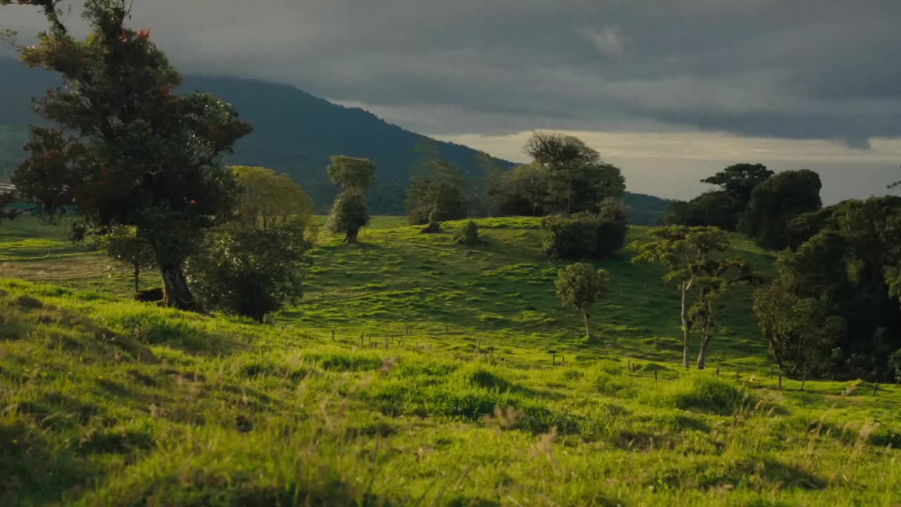 阳光普照的绿色全景，草地、树木和远处的山脉在云层覆盖的天空下，体现了未受破坏的自然美。视频素材