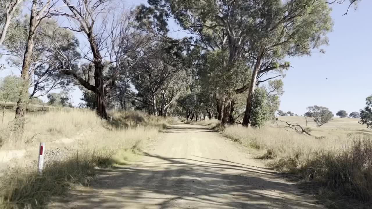 在新南威尔士州的亚斯地区，一条土路一直延伸到远处视频素材