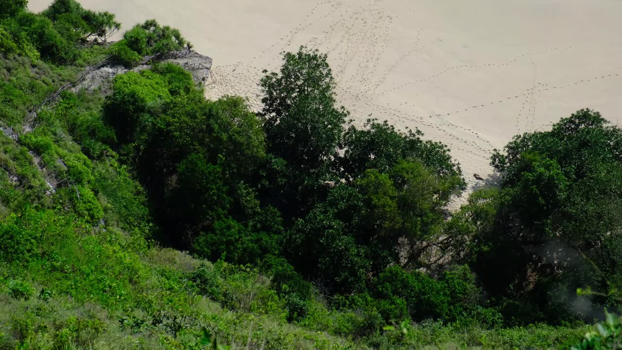 碧绿的海浪拍打着海滩视频下载