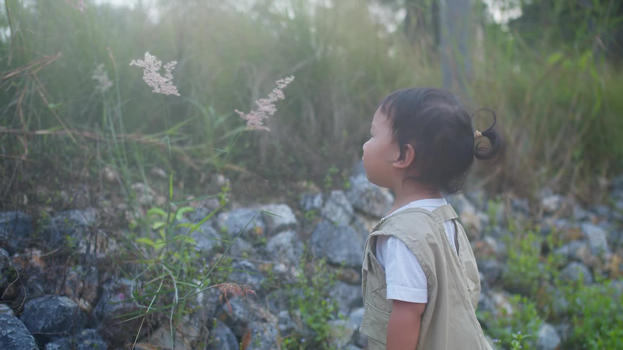 一个小孩在田野里拿着一朵黄色的花。孩子站在草地上，手里拿着花，画面宁静祥和视频素材