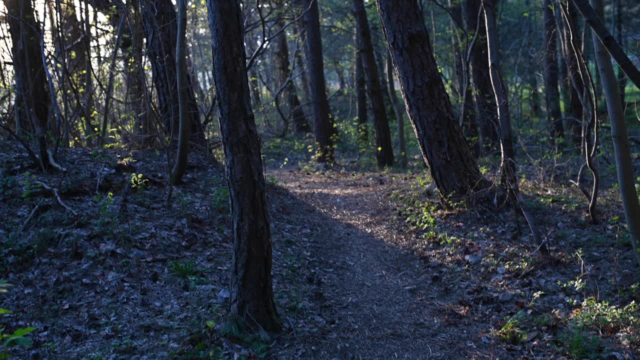 山间的奔跑者视频素材