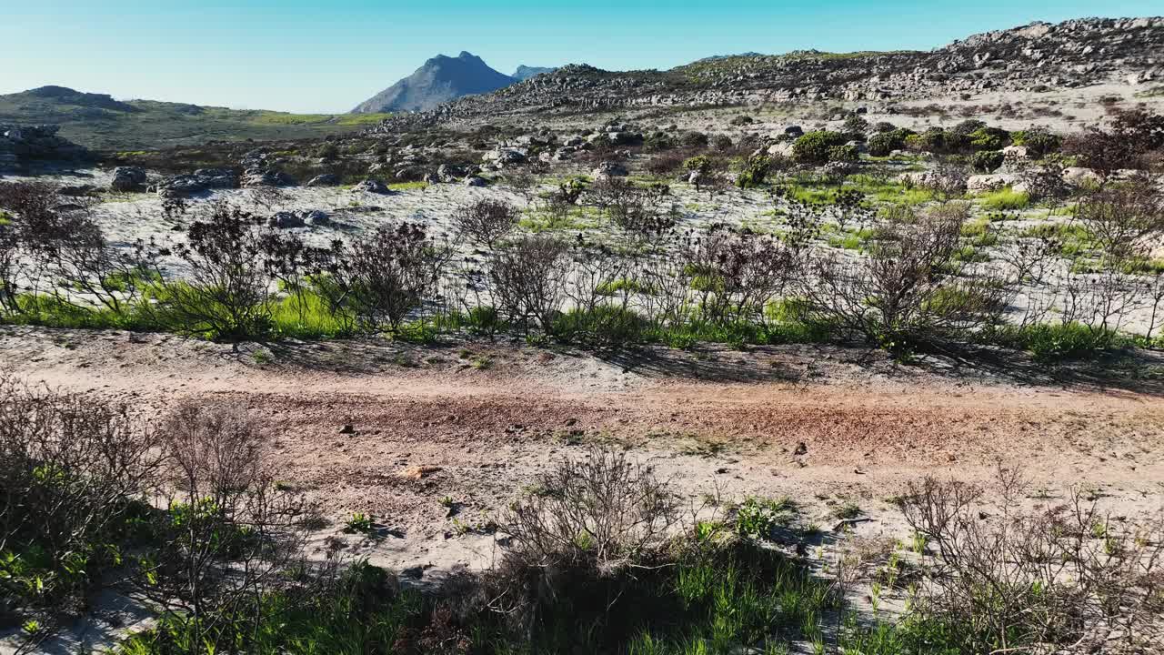 男运动员在山景中从左到右跑过画面视频素材