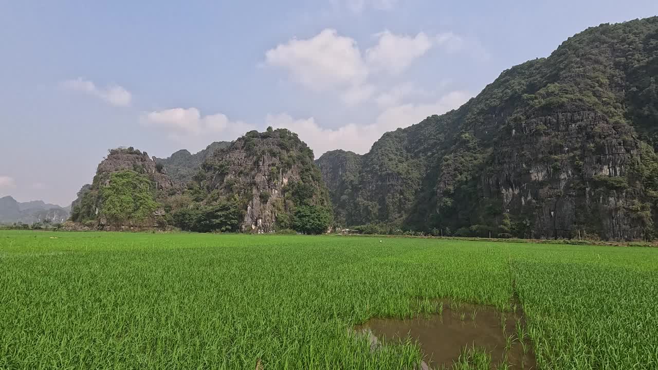 稻田上风景秀丽的石灰岩山脉视频素材