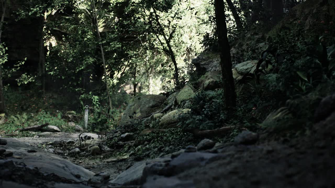 岩石森林土路。山路视频素材