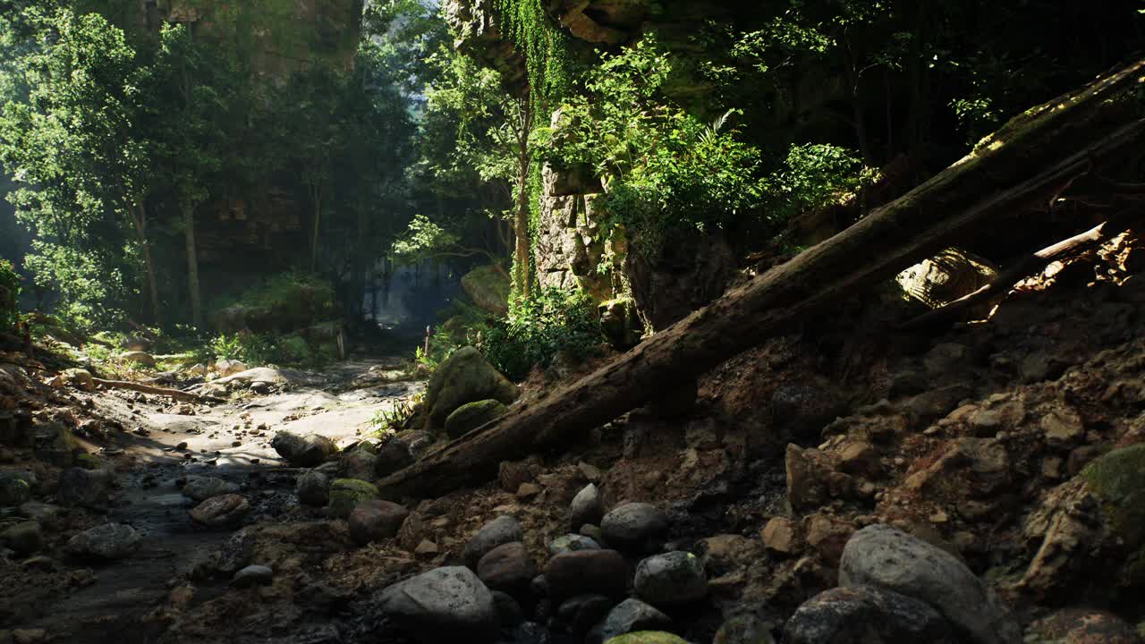 被树木和岩石包围的土路。山路视频素材