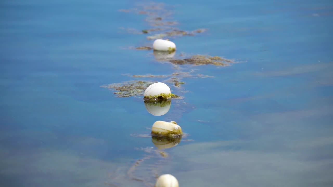 近距离观察海上漂浮的苔藓浮标视频下载