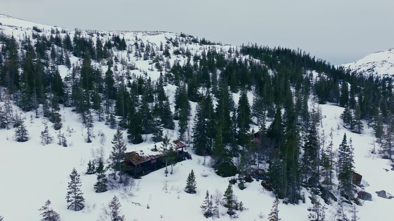 挪威Verran，雪中松林中的山间小屋。空中拍摄视频素材