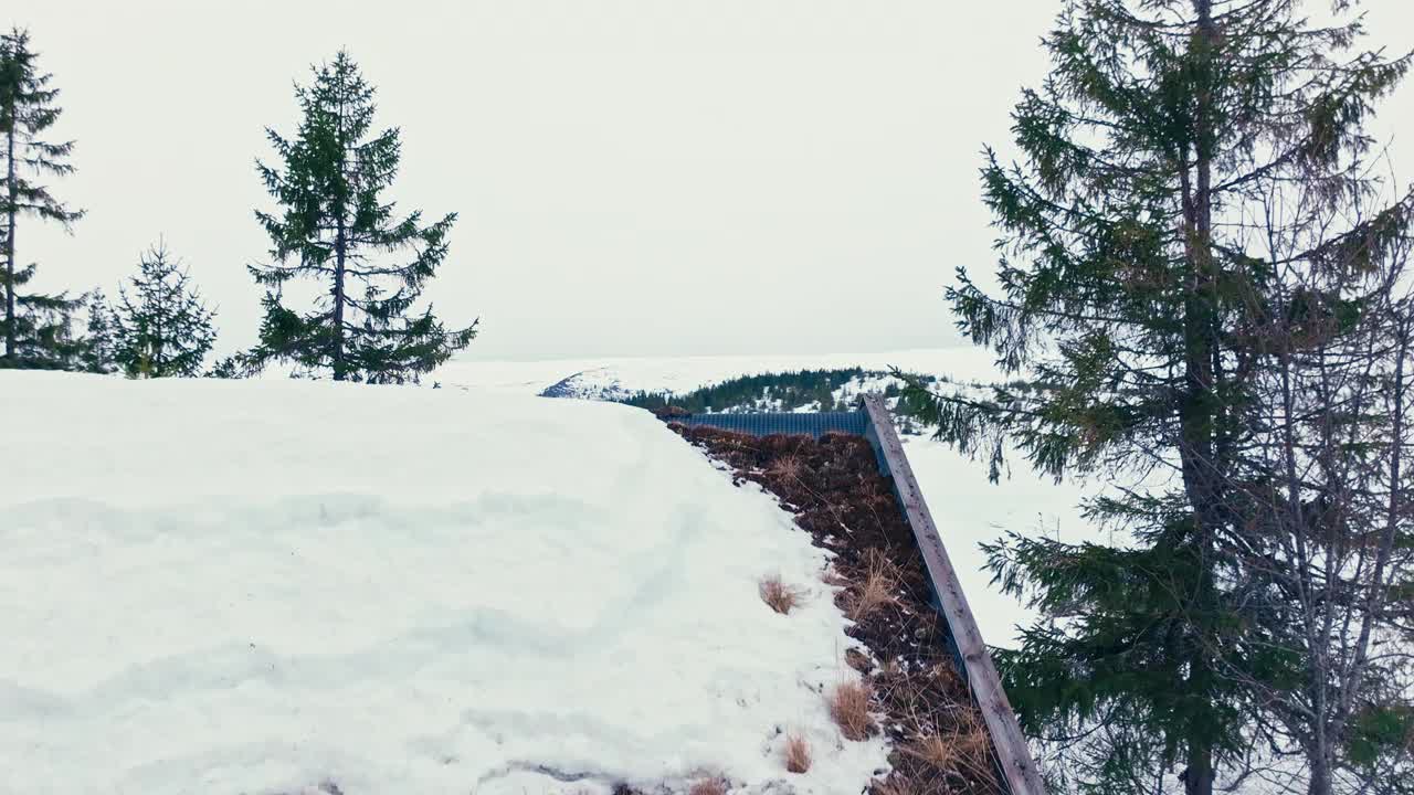 挪威Verran山上被雪覆盖的小屋外的针叶树。无人机上升拍摄视频素材