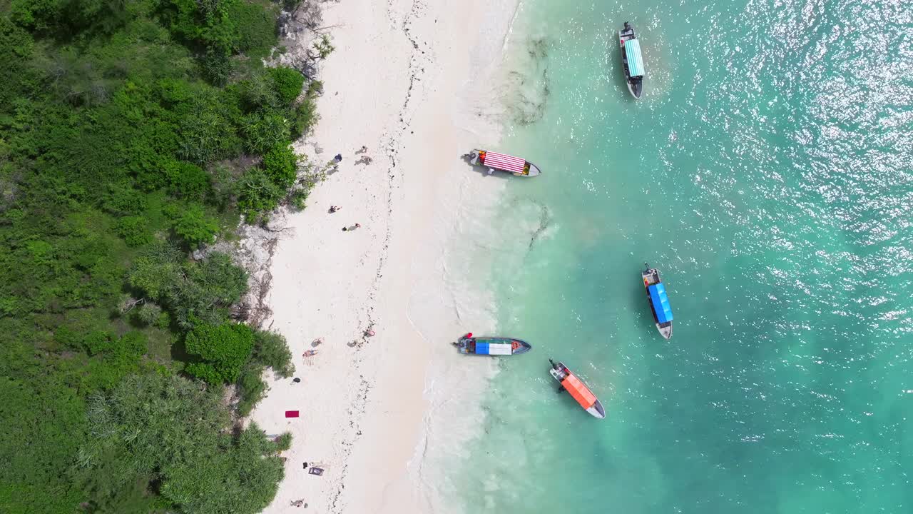 美丽的鸟瞰白色沙滩和绿松石海洋在桑给巴尔在阳光明媚的日子视频下载