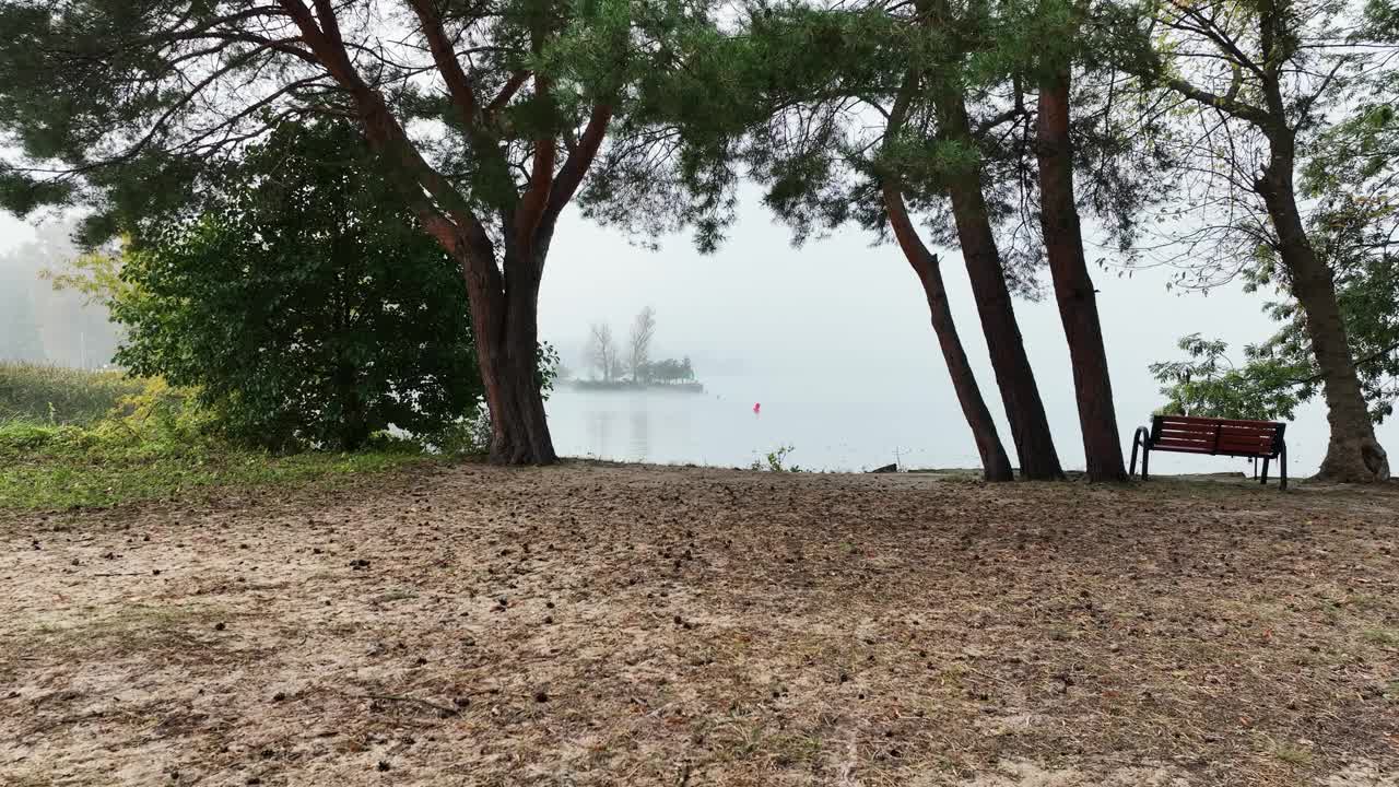 湖边的景色在薄雾中，树木和一个孤独的木凳飞向开阔的水面。视频素材