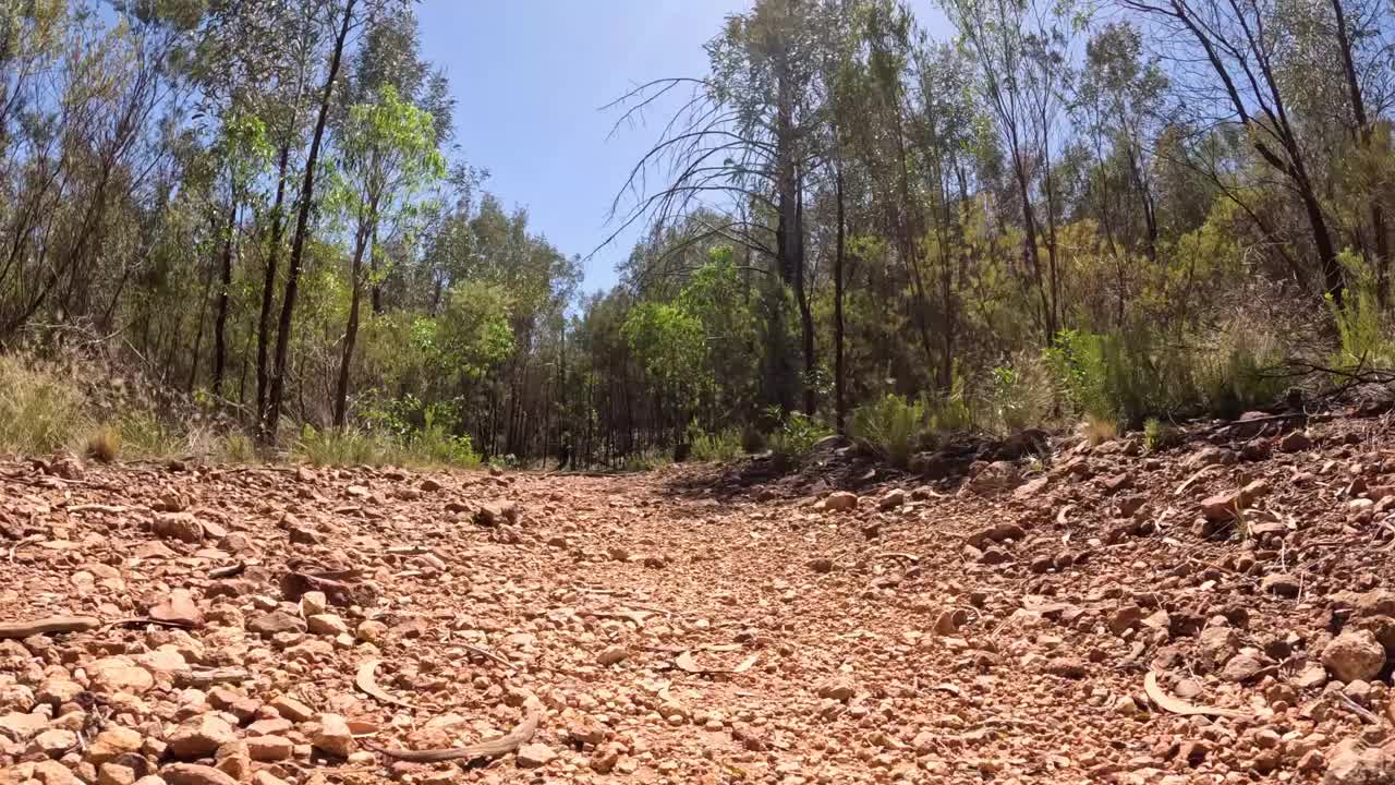 穿越树林小径的旅程视频素材