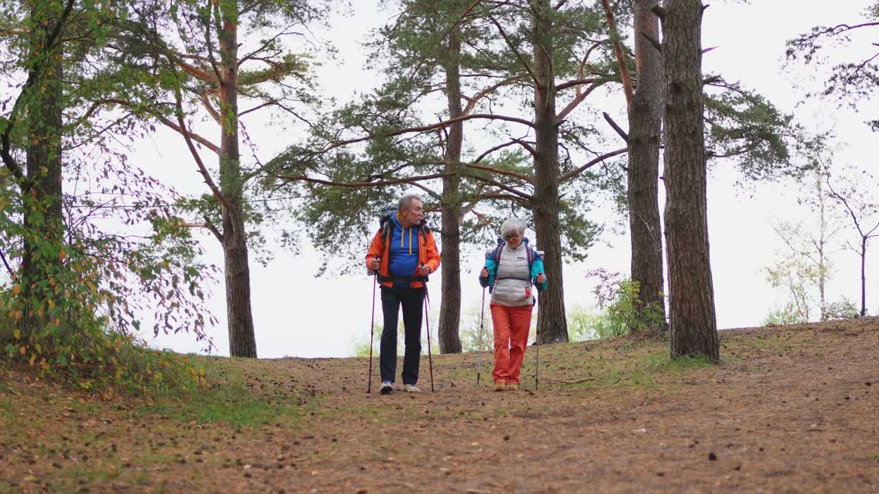 徒步旅游探险。老年夫妇，男人，女人，享受户外娱乐，在森林里徒步旅行，快乐的老人，背包客，徒步旅行者，享受徒步旅行，徒步旅行旅游，积极的假期，大自然的美丽视频素材