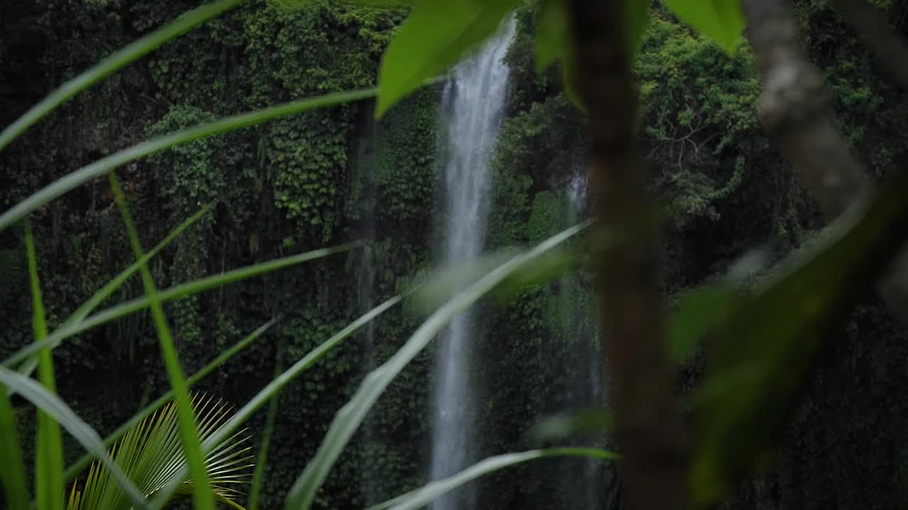 巴厘岛的Sekumpul瀑布视频素材