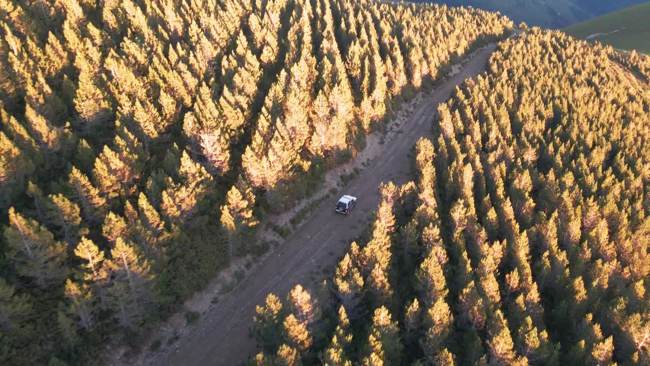 鸟瞰图，汽车行驶在山间的森林道路上视频下载