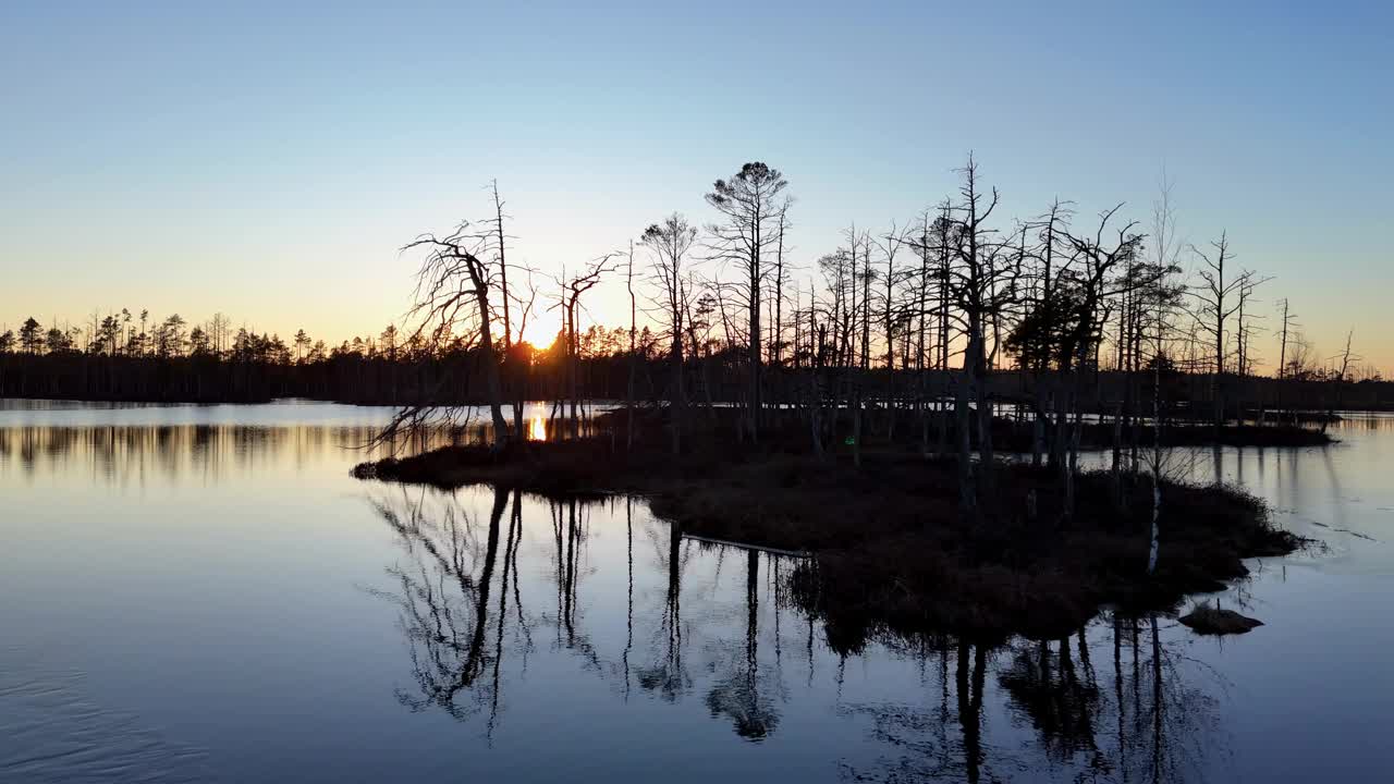 在湖中心有一簇树的小岛，沐浴在夕阳的温暖光线中视频素材