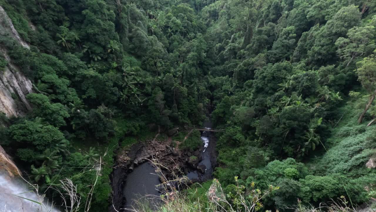 飞越翠绿峡谷的风景飞行视频素材